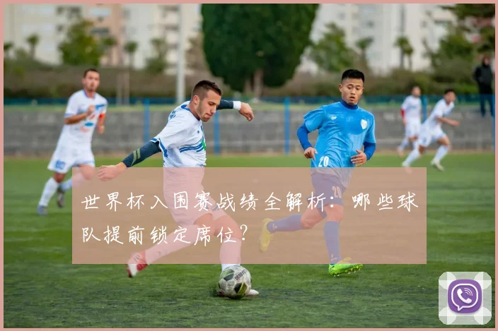 世界杯入围赛战绩全解析：哪些球队提前锁定席位？